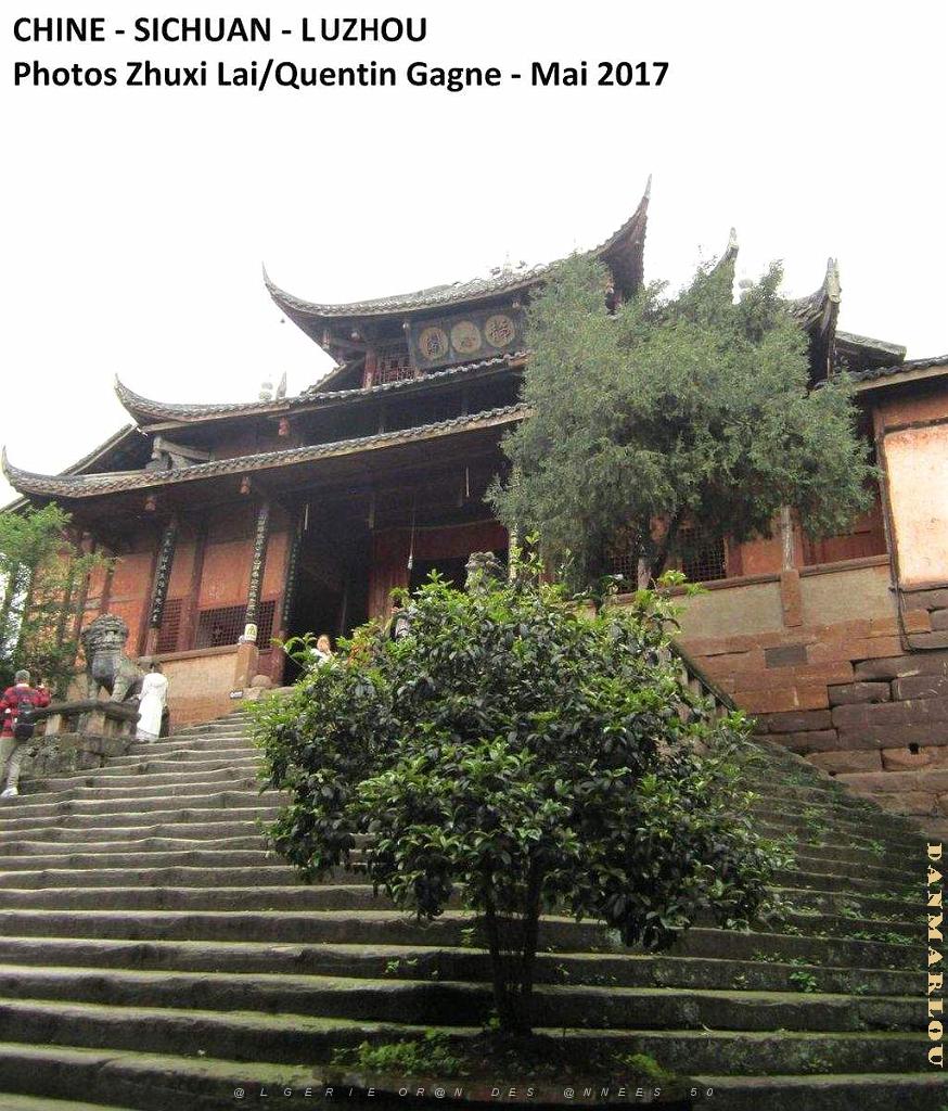Luzhou 032.JPG